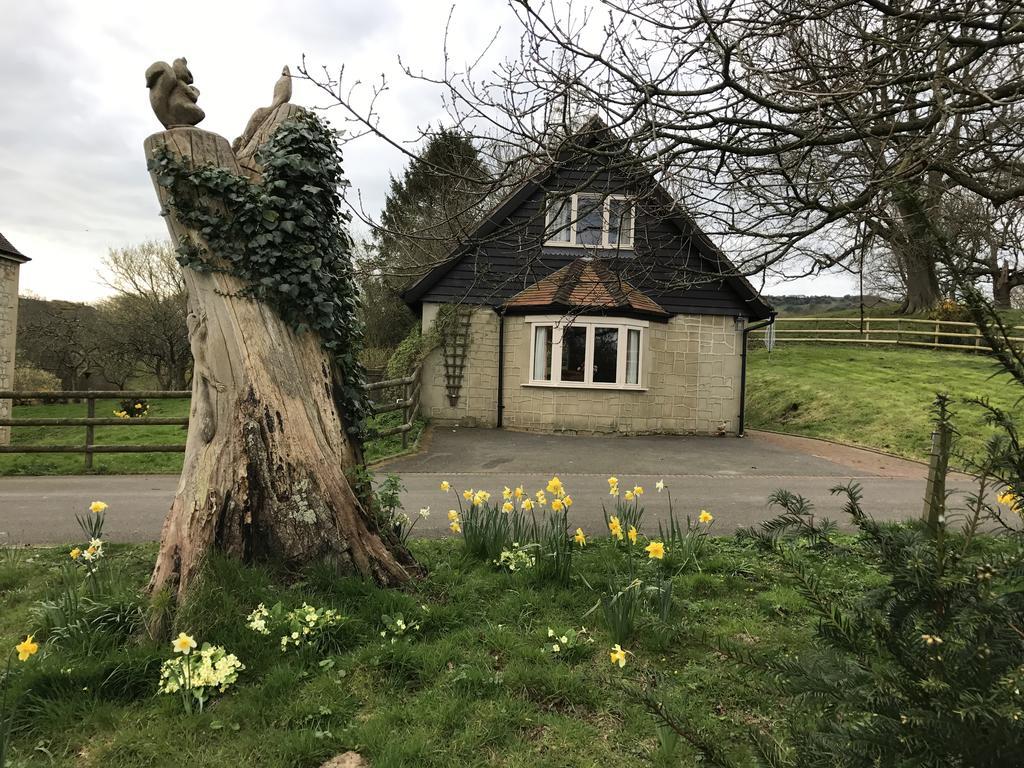 Godshill Park Cottages Exterior foto